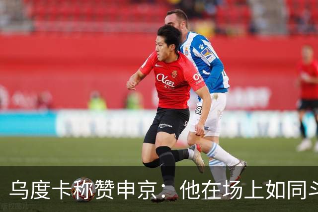 乌度卡称赞申京：他在场上如同斗犬般激烈