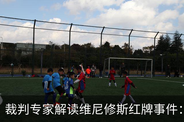 裁判专家解读维尼修斯红牌事件：毫无争议的处罚